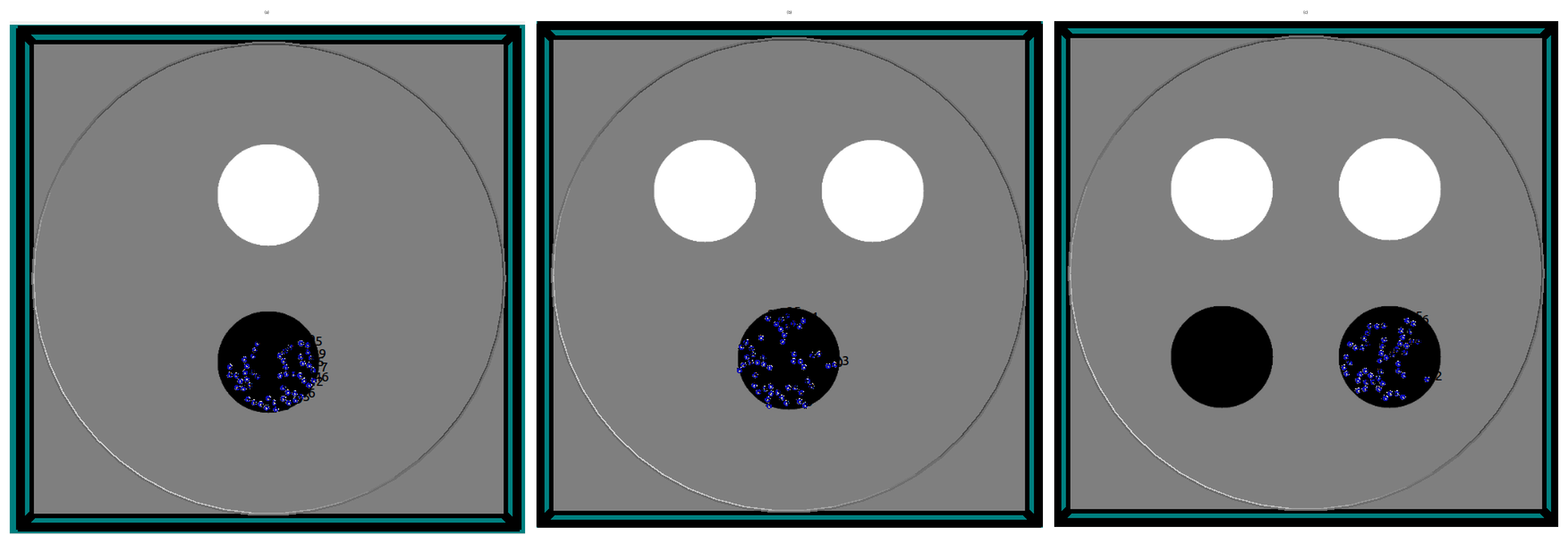 Three aggregation arenas with target and non-target sites from the informed-robot aggregation study.