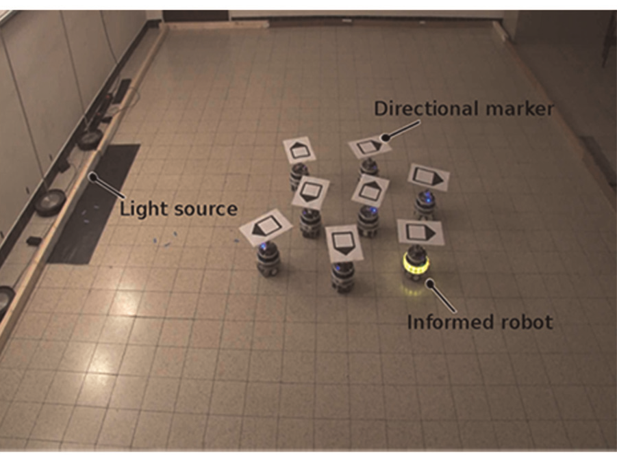Experimental arena used in collective-motion experiments with informed robots embedded in a flock.